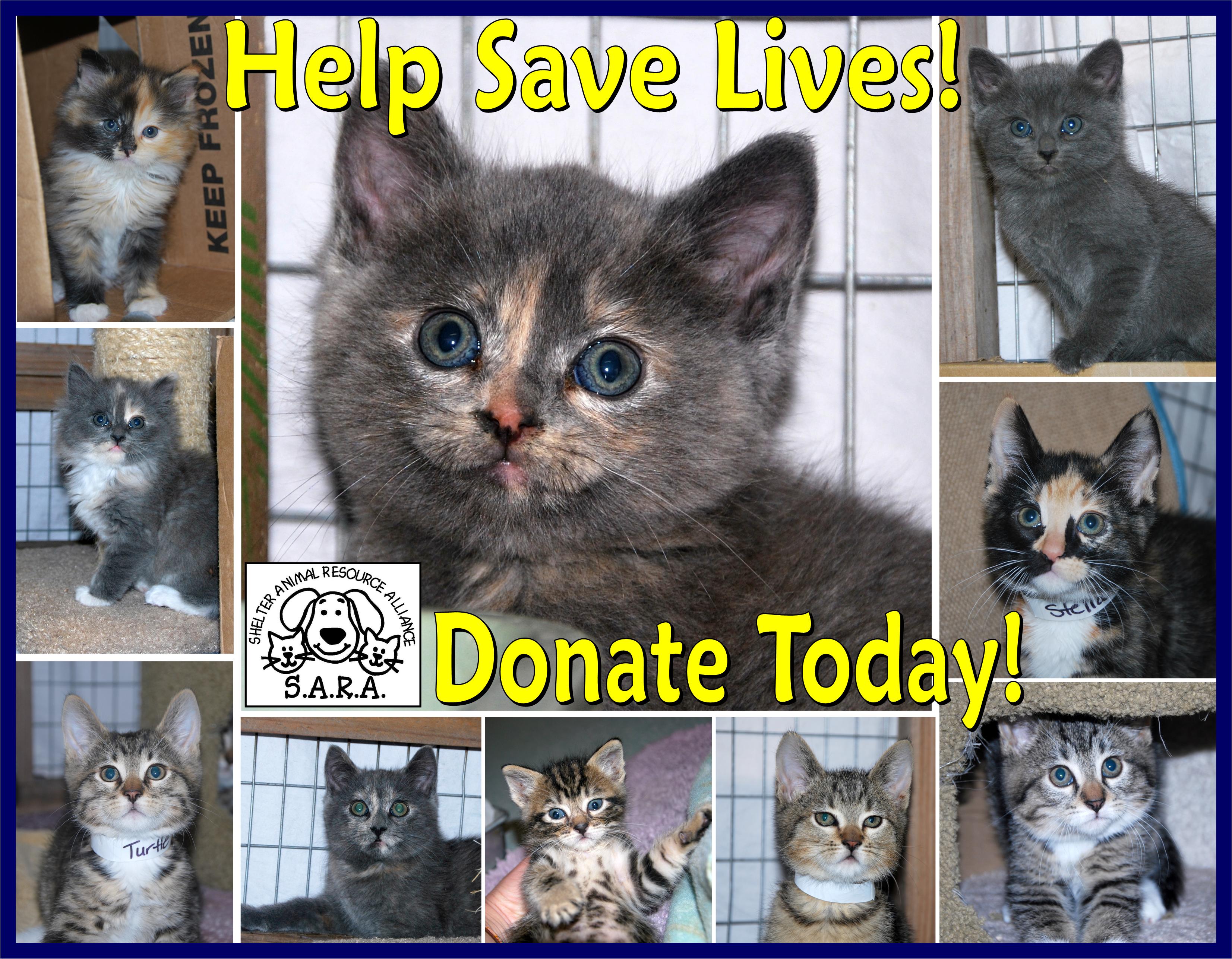 S A R A THE SHELTER ANIMAL RESOURCE ALLIANCE In Eugene OR